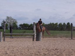 IMG_5716_web